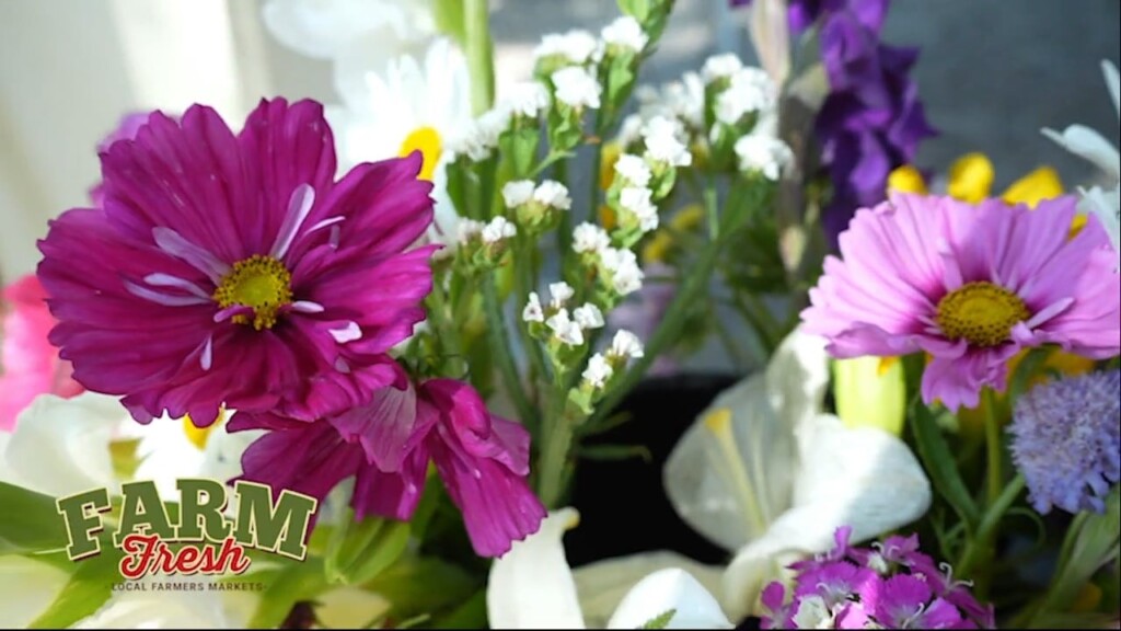 Farmers Market