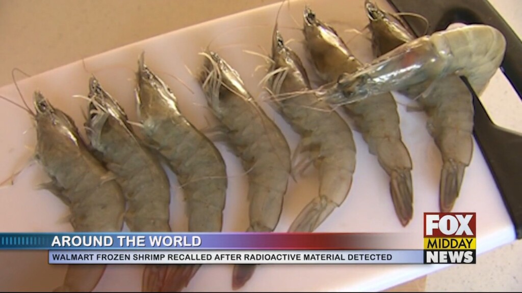 Shrimp