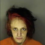 Rosenblatt Kimberly Anne No Charges Listed