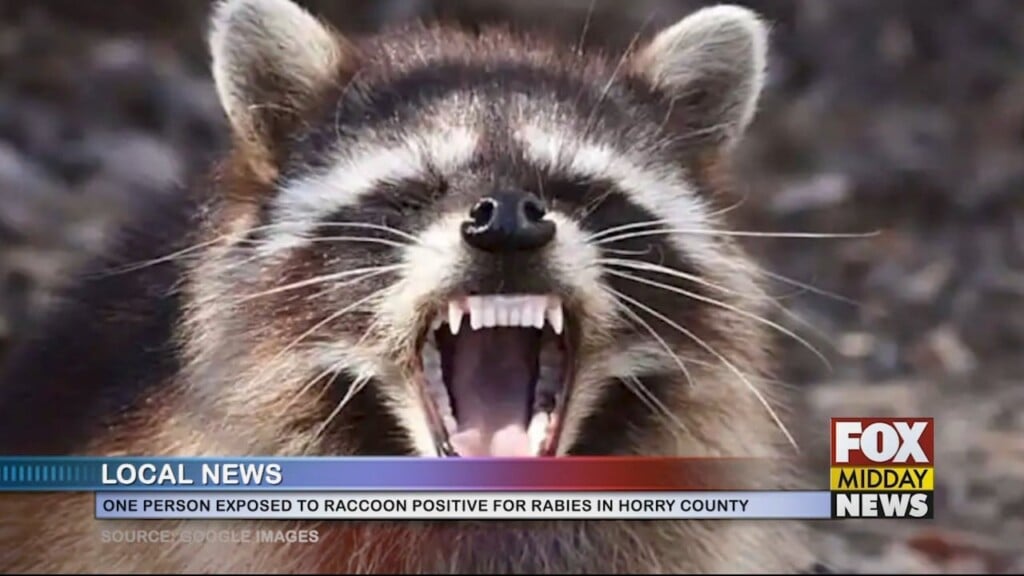 Rabies