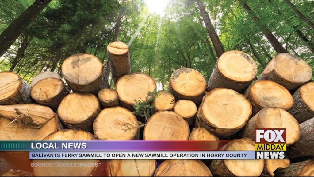 Logs