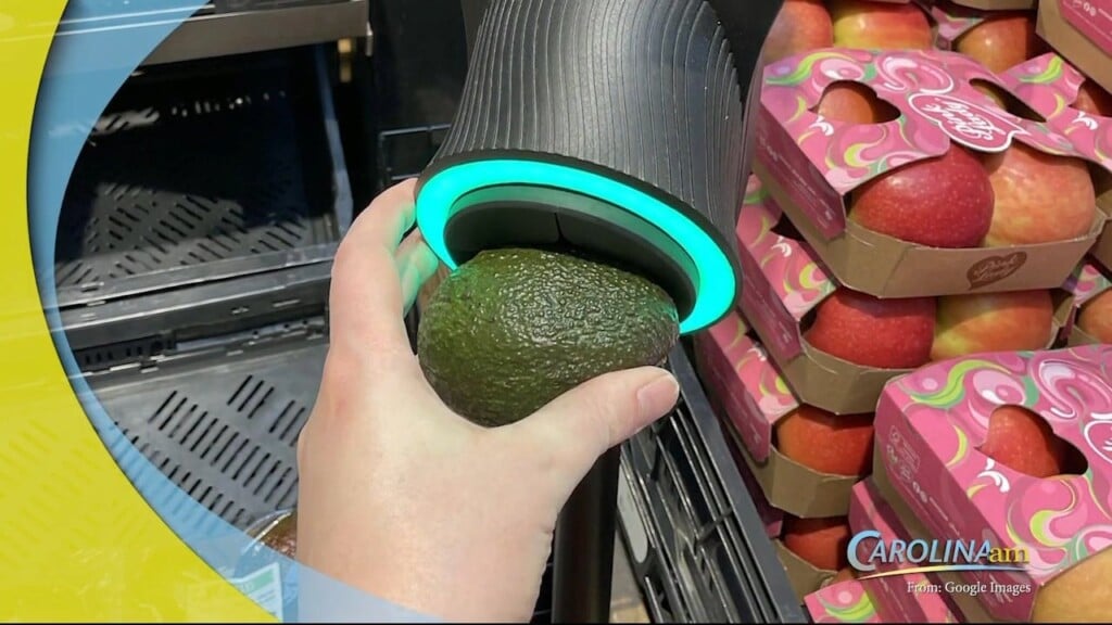 Avocado Scanner