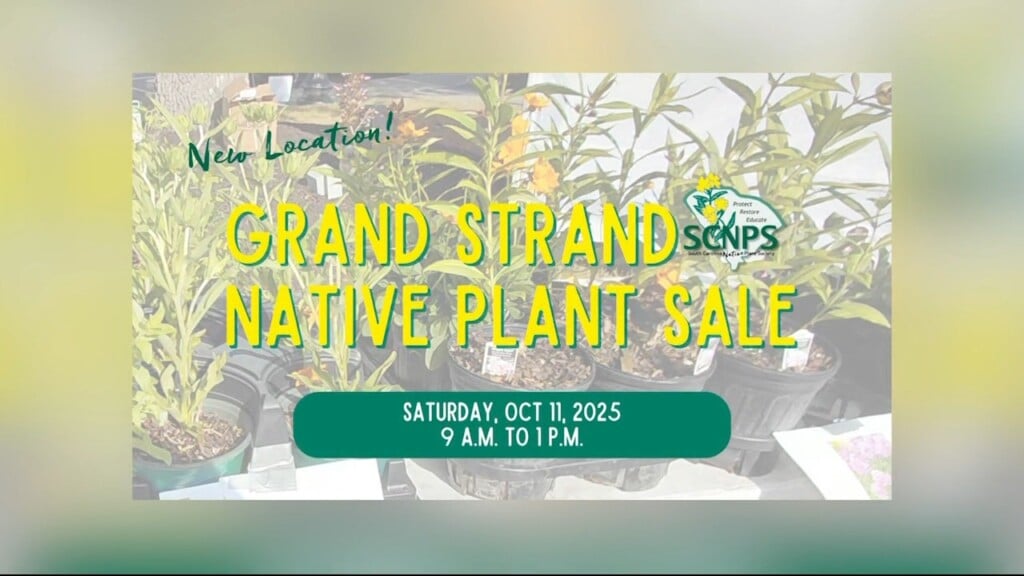 Plant Sale
