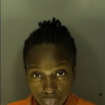 Herriett Kalesha Shane Burglary
