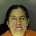 Calima Salas Elva Florencia Failure To Yield Right Of Way On Leftturn Driving Without A License