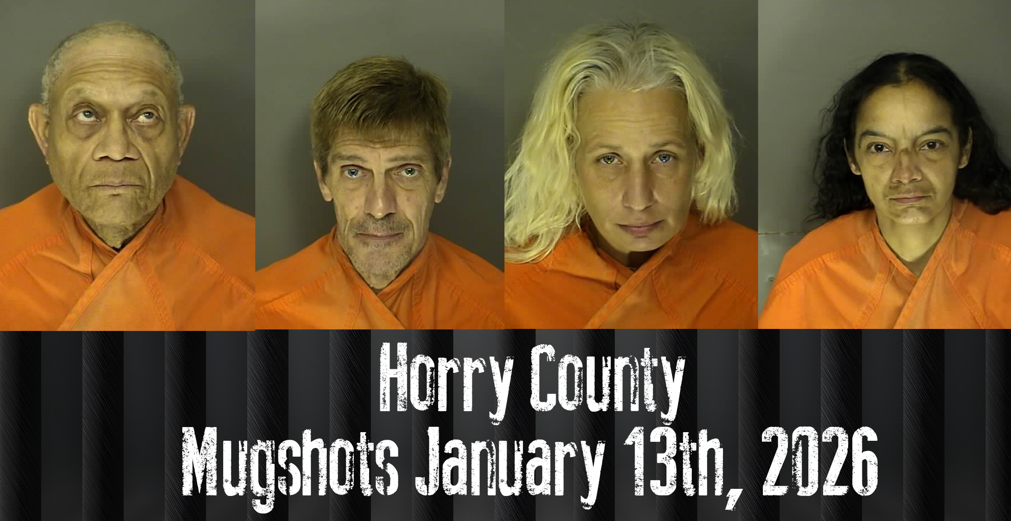 Mugshots Archives WFXB(01)