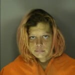 Perry Stephanie Annie Trespass Poss Of Other Controlled Sub In Sched I To V A Person Possessing Less Than One Gram Of Methamphetamine Or Cocaine Base