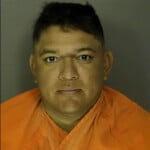 Gunera Harlen Saul Driving Without A License