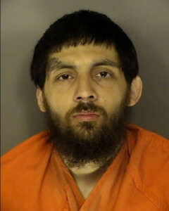 Carmona Elias Andrew Trespass Giving False Information To Law Enforcement Fire Dept Or Rescue Dept