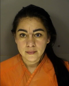 Alvarado Marlin Evanelia No Drivers License