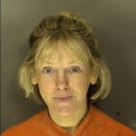 Hall Erin Meridith Fraudulent Check Or Stop Payment On Acheck More Than 500 But Less Than 1000