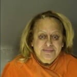 Arcata Nereida Tina Dui