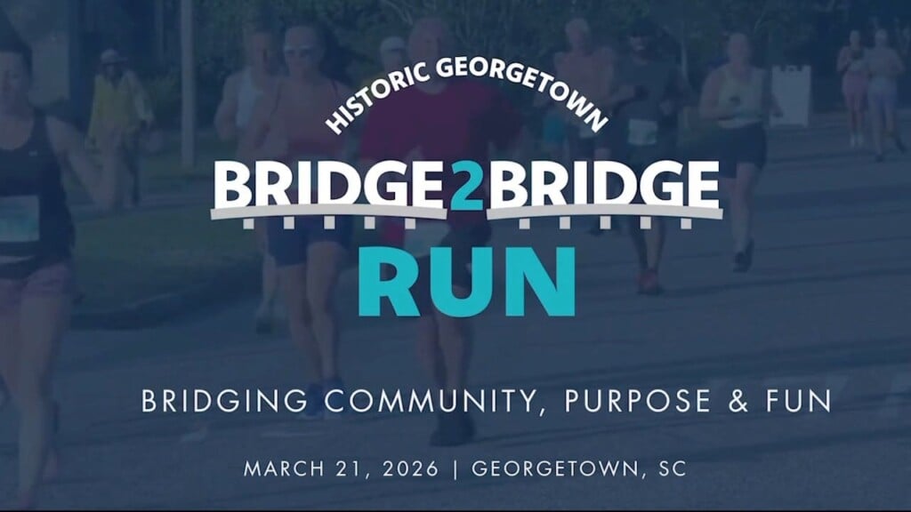 Bridge Run