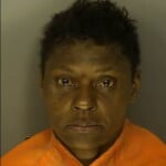 Mcneil Sybil Ann No Charges Listed