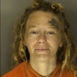 Andrews Bridget Nicole Petit Or Simple Larceny Under 2000