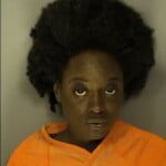 Maxwell Jessica Telwanda Loitering