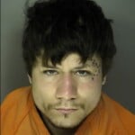 Weinbrenner Steven Breach Of Peace