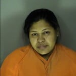 Sanders Smith Jenely Morelia Driving Without A License