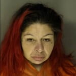 Drake Alicia Lynn Indecent Exposure Public Disorderlypublic Intoxication