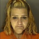 Pauley Melissa Dawn Violation Of Probation