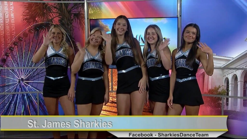 Sharkies