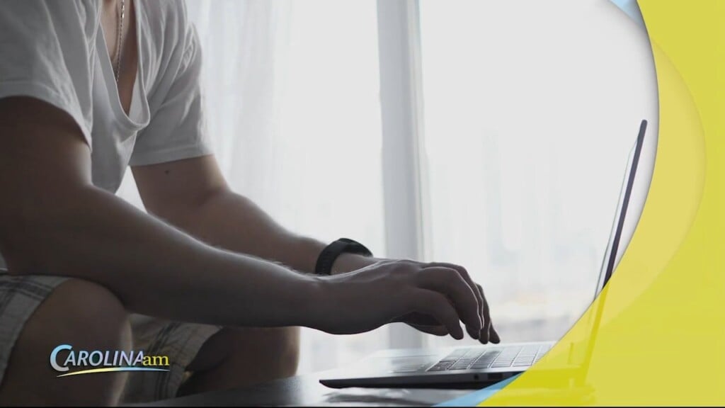 Remote Workers
