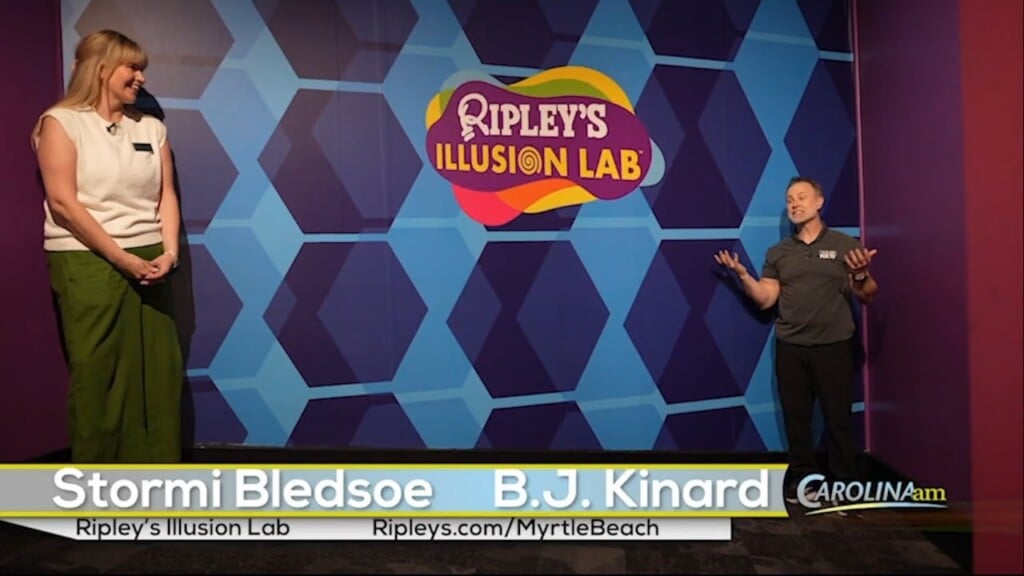 Illusion Lab