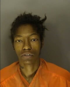 Tennyson Rachell Econ Public Disorderlypublic Intoxication