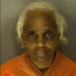 Johnson Falecia Shoplifting Under 2000