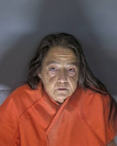 James Sheena Public Disorderly Conduct Threat Threatening Life Person Or Family Of Public Employee