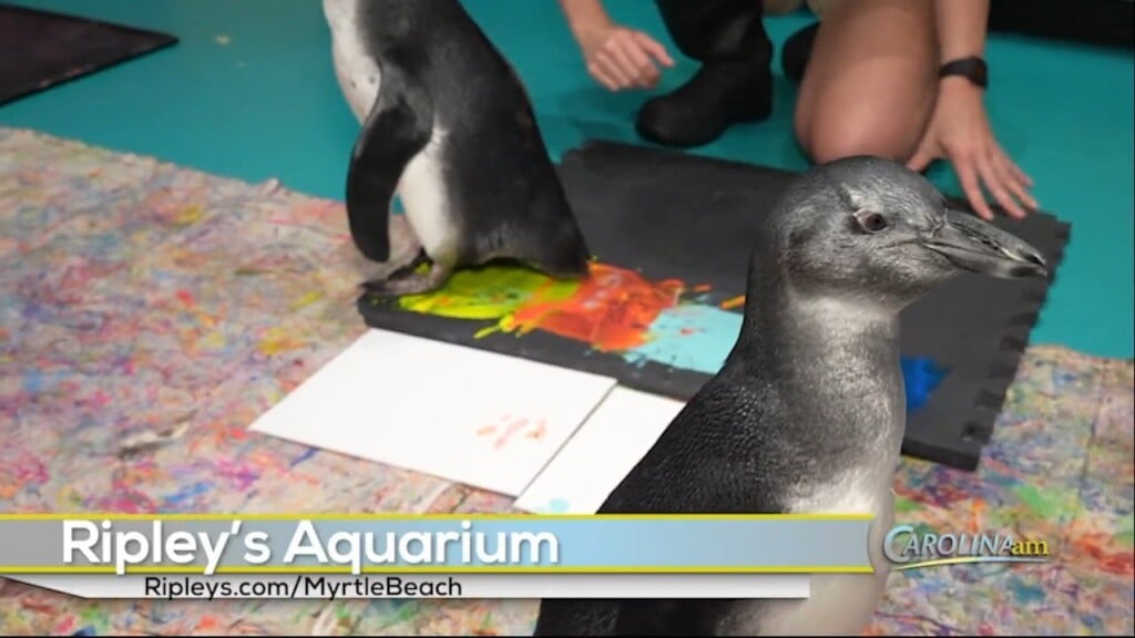 Paint With Penguins