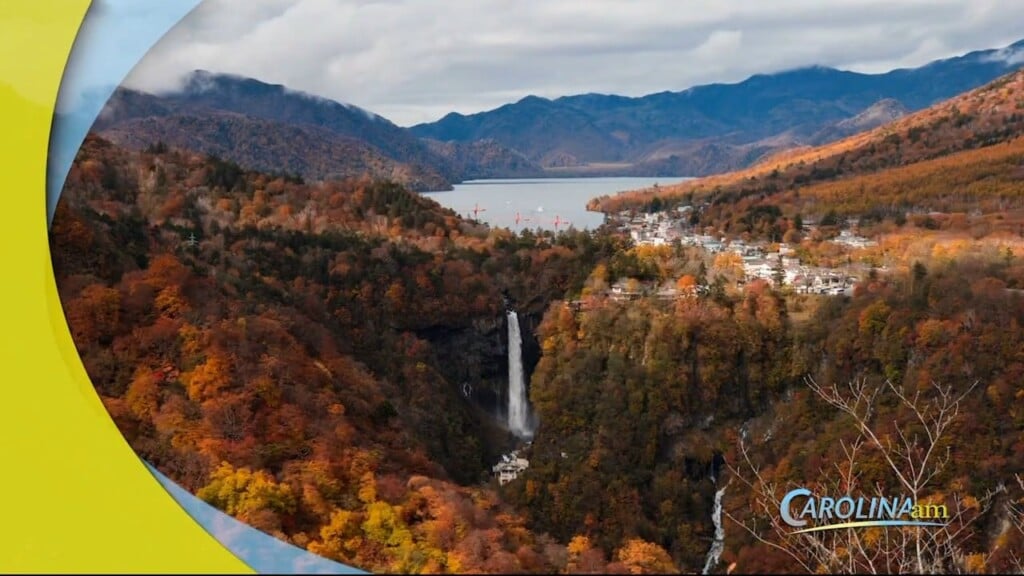 Leaf Peepng