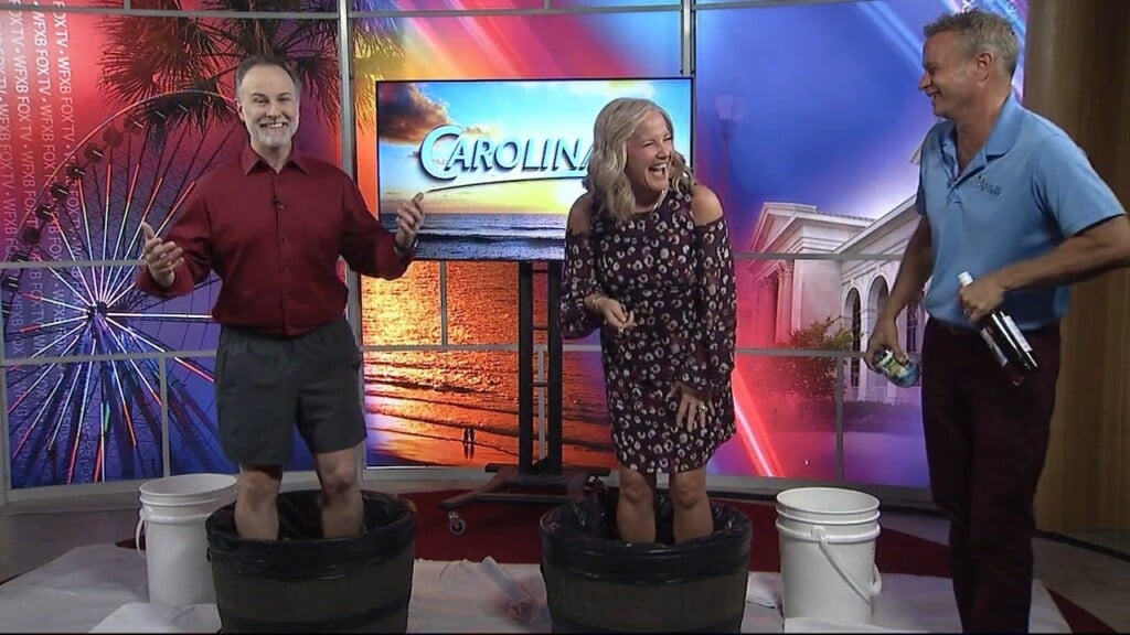 Grape Stomp