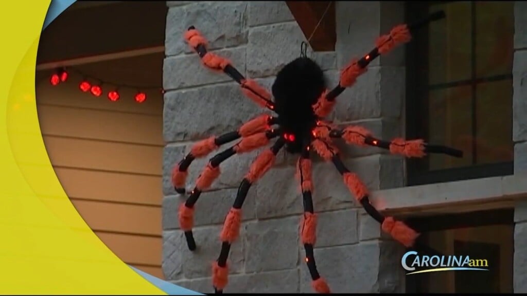 Halloween Decor