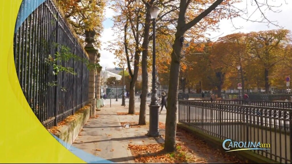 Fall Cities