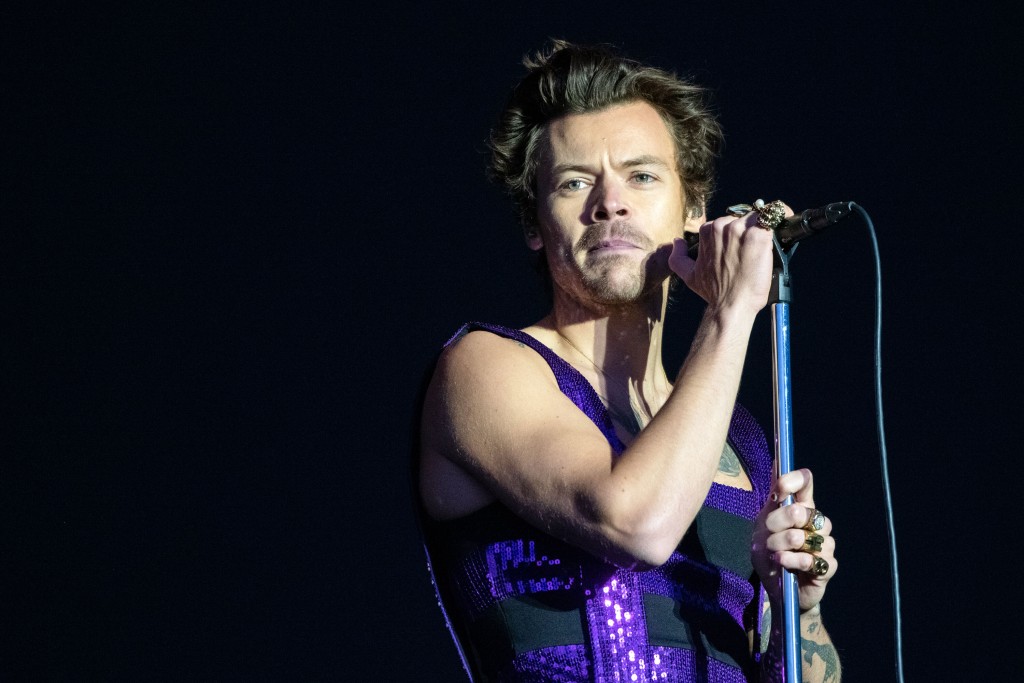 Harry Styles Postpones Chicago Show Due To Illness