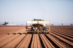 Usda Begins Providing Relief To Thousands Of Farmers With Operations At Financial Risk