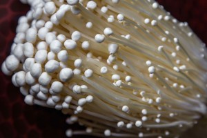 Green Day Produce Recalls Enoki Mushroom Packages Due To Possible Health Risk