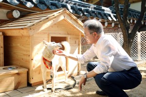 North Korean ‘peace’ Dogs Cause Political Spat In South Korea