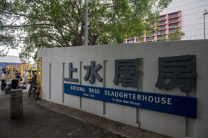 Struggling Pig Kills Butcher At Slaughterhouse In Hong Kong