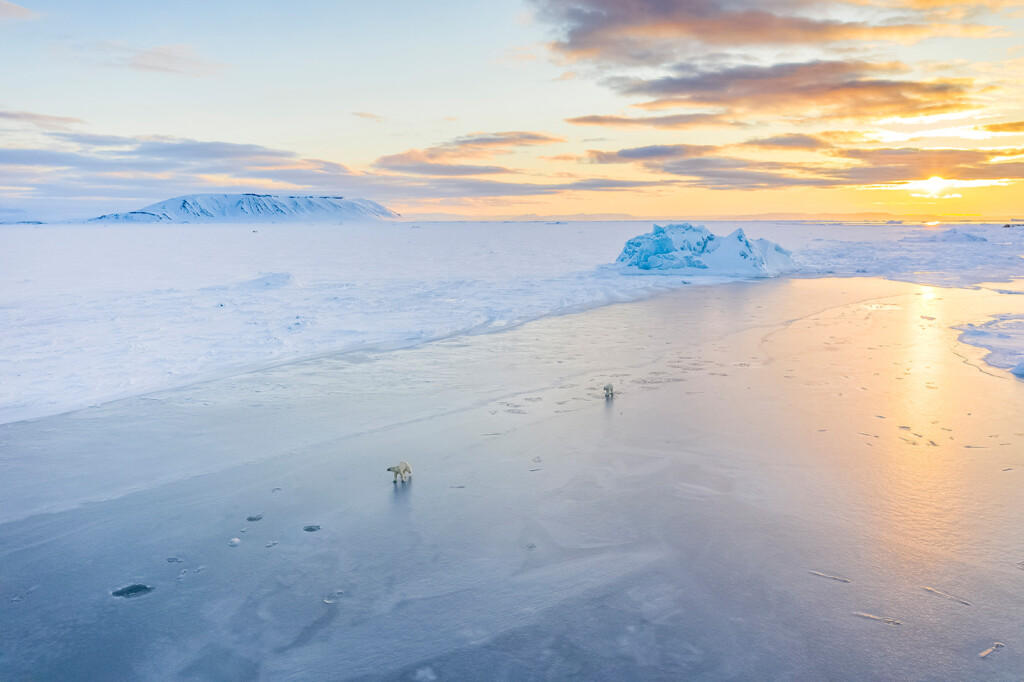 Facing The Extremes As An Arctic Photographer