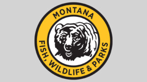Grizzly Bears Test Positive For Bird Flu In Montana, Officials Say