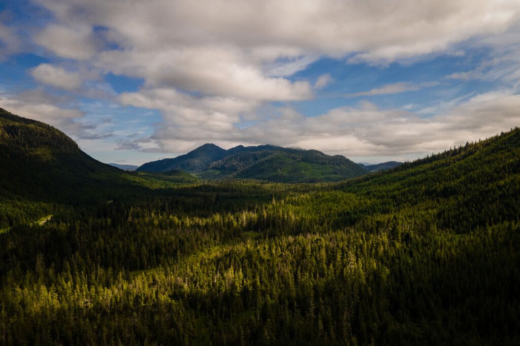 Biden Administration Restores Protections For Alaska’s Tongass Forest