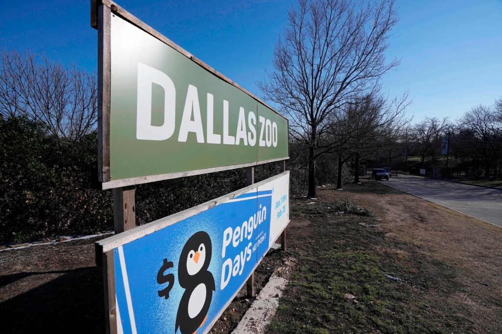Suspect In Dallas Zoo Animal Thefts Allegedly Admitted To The Crime And Says He Would Do It Again, Affidavits Claim