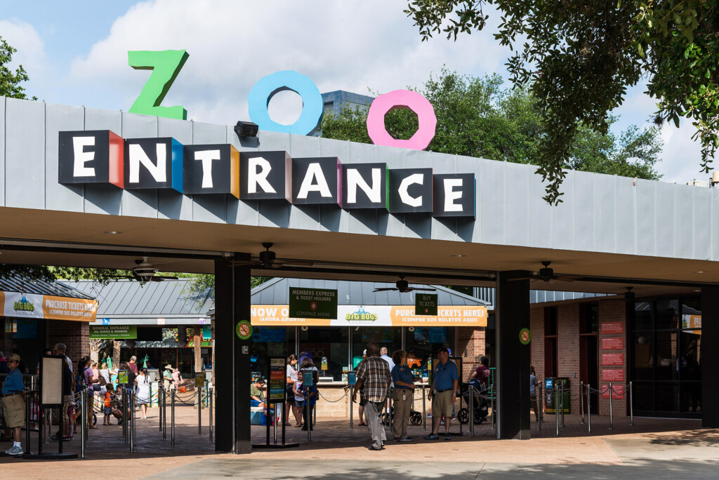 Houston Zoo’s Pelican Enclosure Was Apparently Vandalized After A Slew Of Similar Incidents At Other Zoos