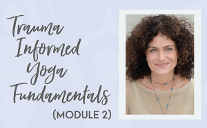 Trauma Informed Yoga Fundamentals: Yoga & Social Justice @ Yoga Village