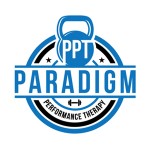 Paradigm Logo 300x300