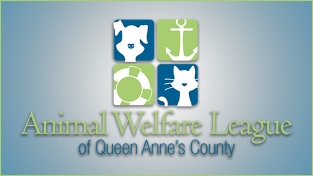 Animal Welfare League of Queen Anne's County Queenstown, MD 47abc