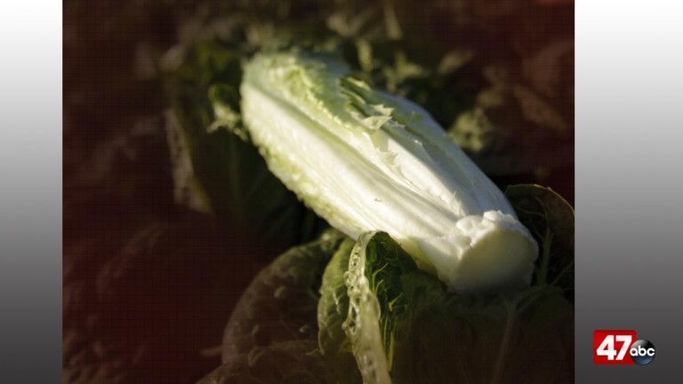 First Death Reported In Romaine Lettuce E Coli Outbreak 47abc 8216