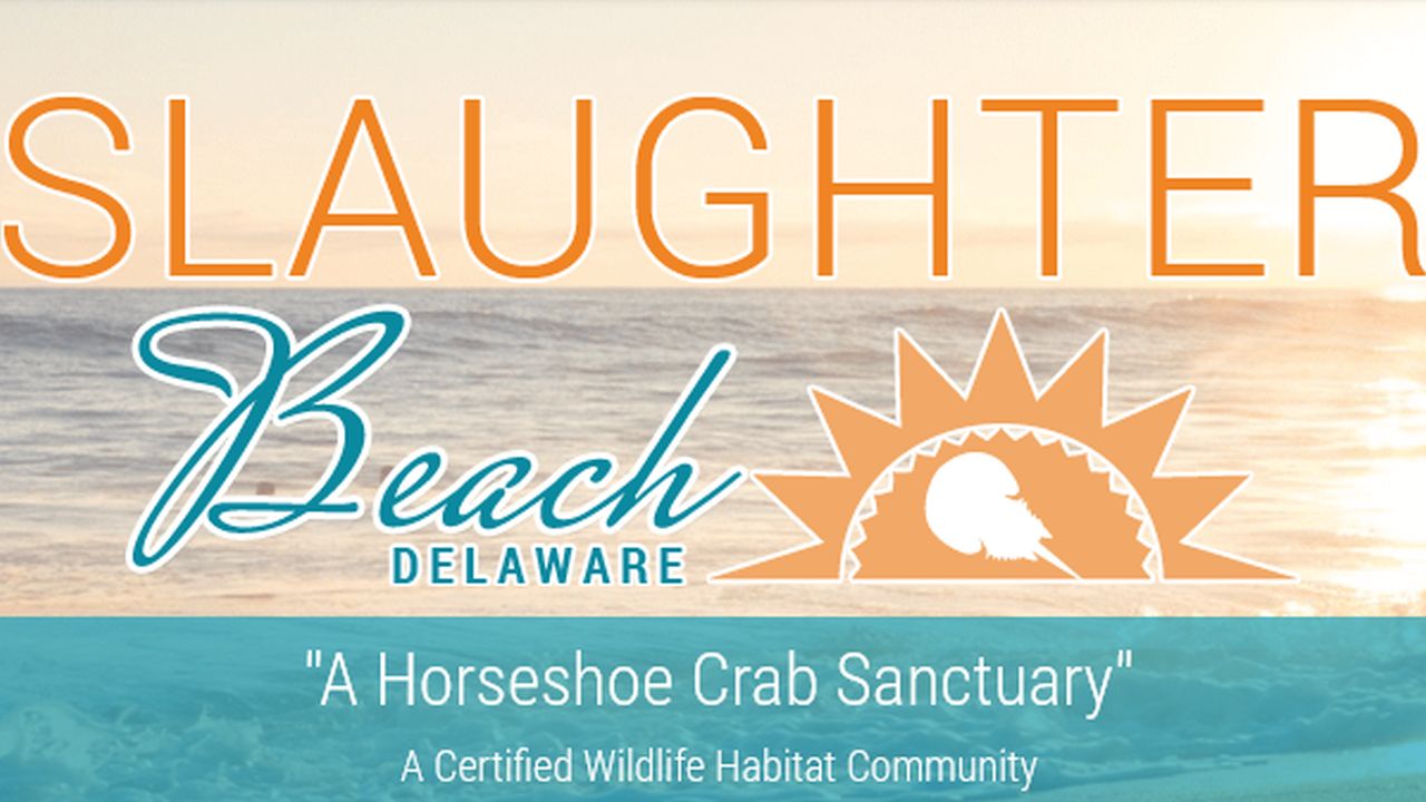 Slaughter Beach starts new boardwalk project 47abc